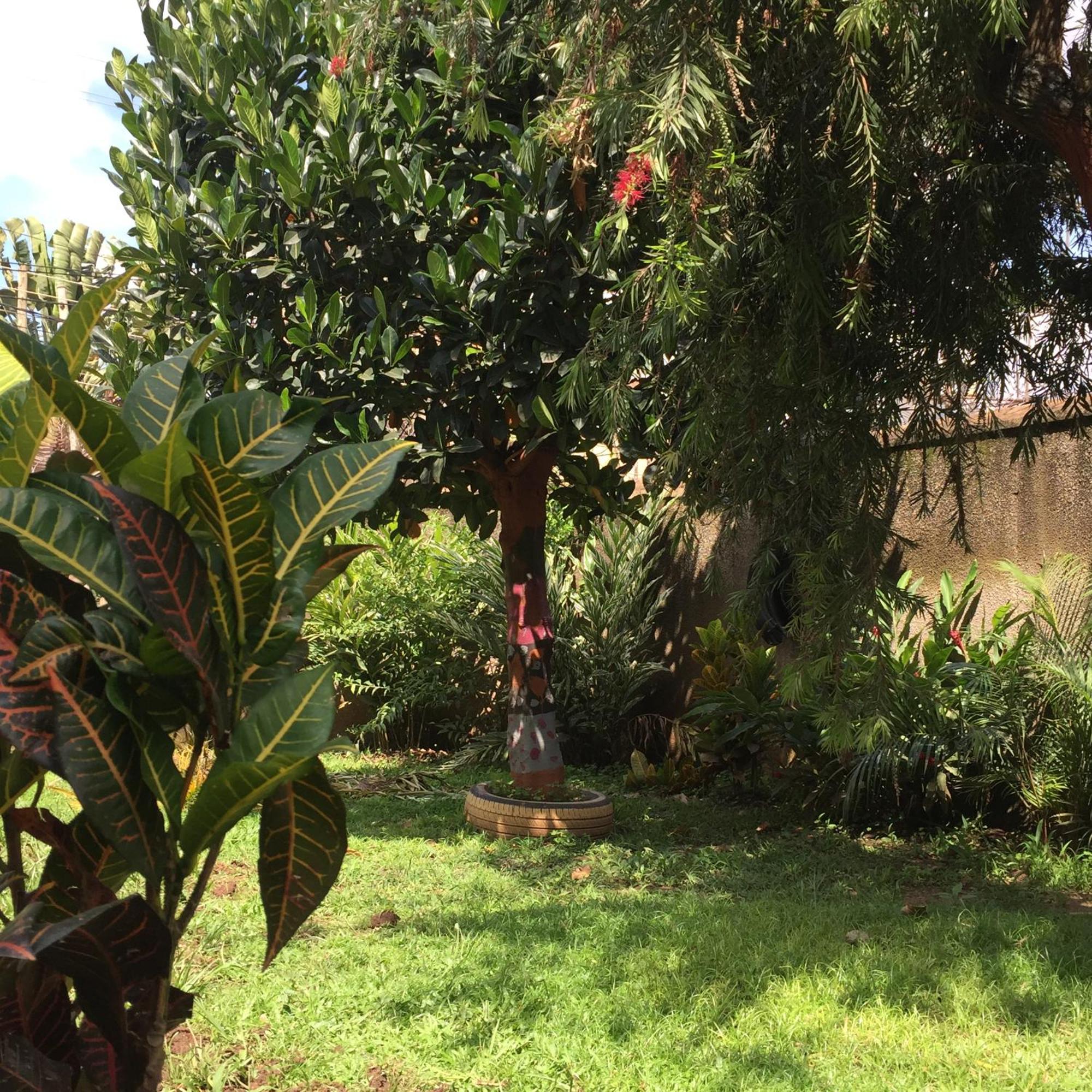 Tgs Homestay Kampala Exteriör bild